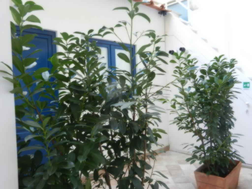 My Suite Sorrento Cameră foto